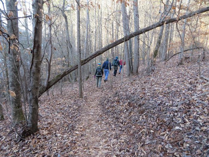 The trail starts out through a beautiful woodland.