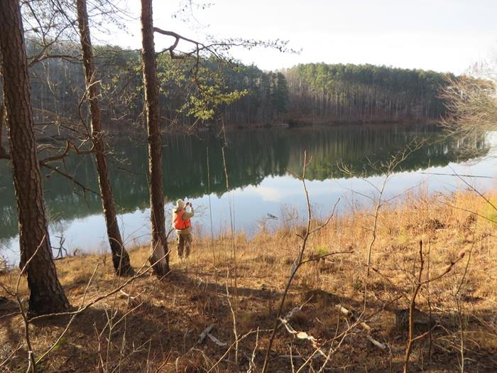 Nice reflections on a mirror surface lake!