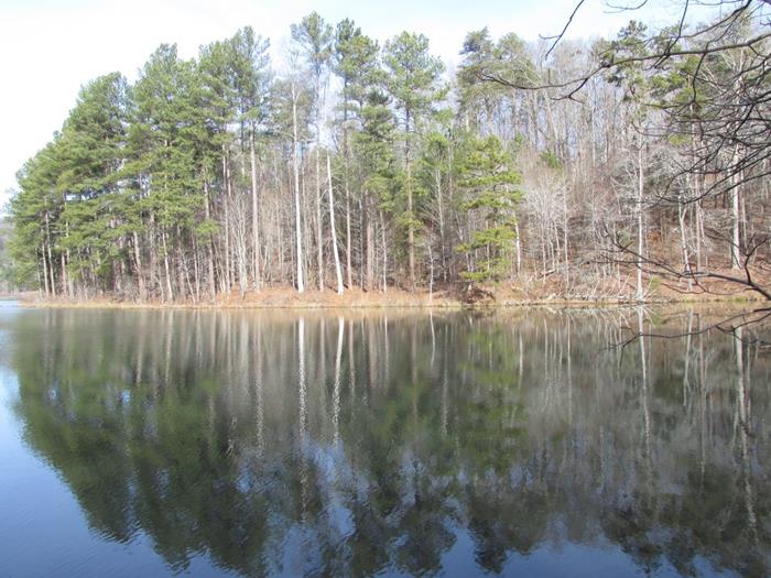 More nice reflections!