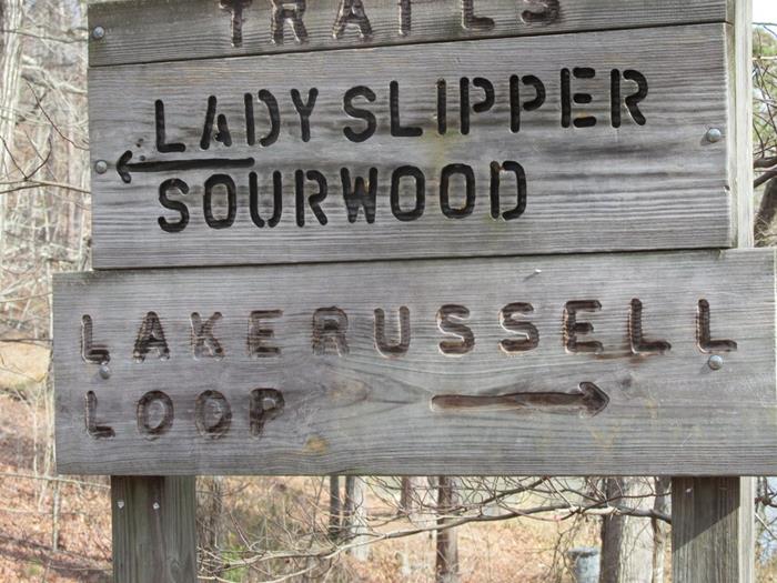 Now we head over to the Sourwood Trail which is a 2.7 mile loop.