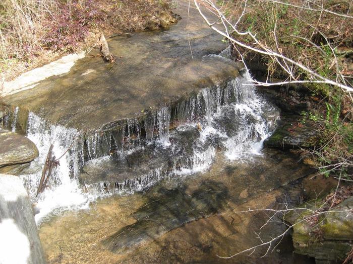 The icy waters of Nancytown Creek!