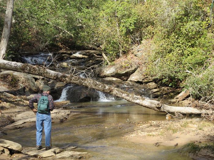 A very nice spot on Nancytown Creek.