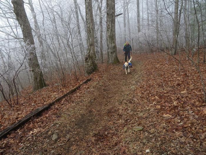 We meet a thru-hiker and his dog from Memphis, TN.
