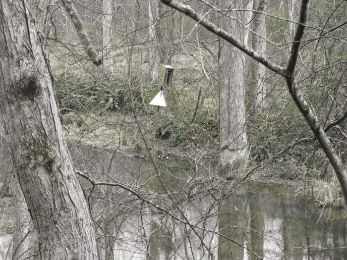 Wood Duck house.