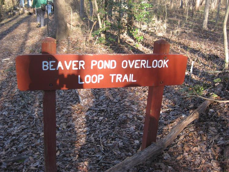 We did the Beaver Dam Overlook Trail.