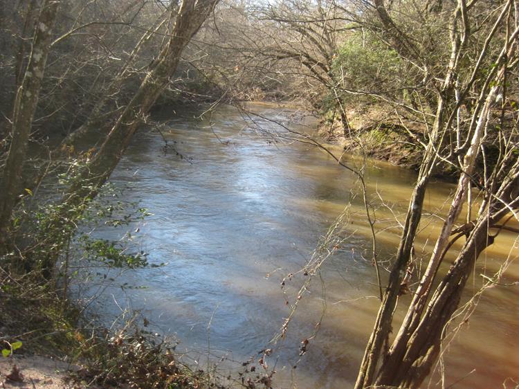 On the Broad River Loop.