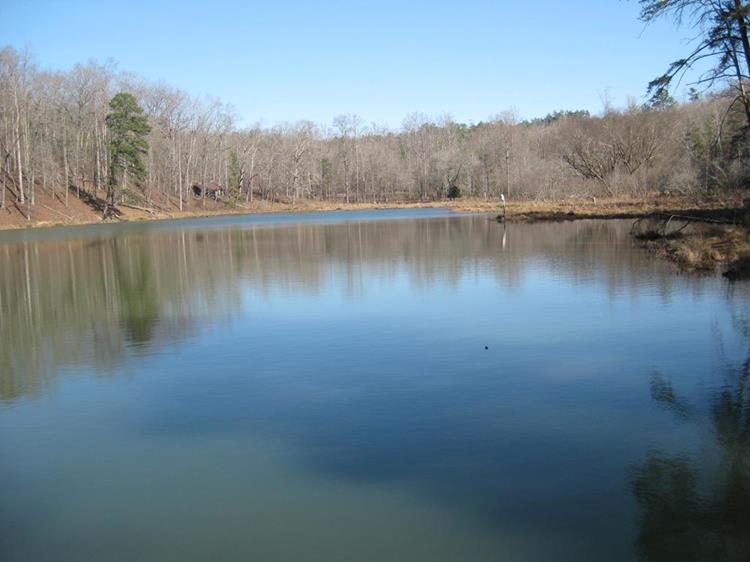 Nancytown Lake.