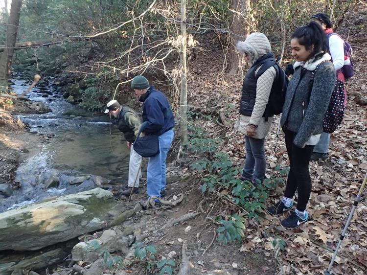 Early into the hike we have a creek crossing.