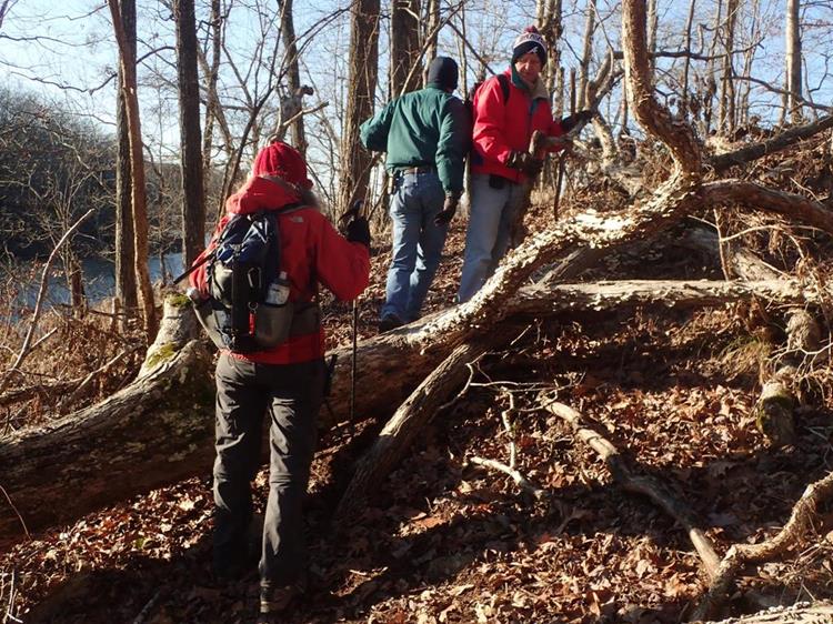 There were a couple of trees down to crawl over.