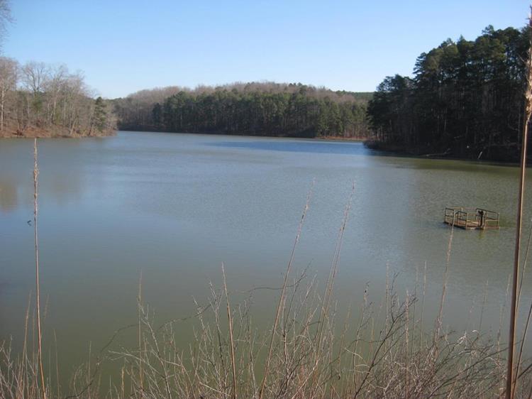 View of Lake Russell from the dam.