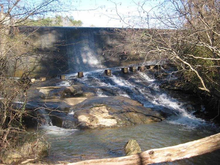 The Lake Russell Loop crosses just below the Nancytown Lake Dam as we finish the loop.