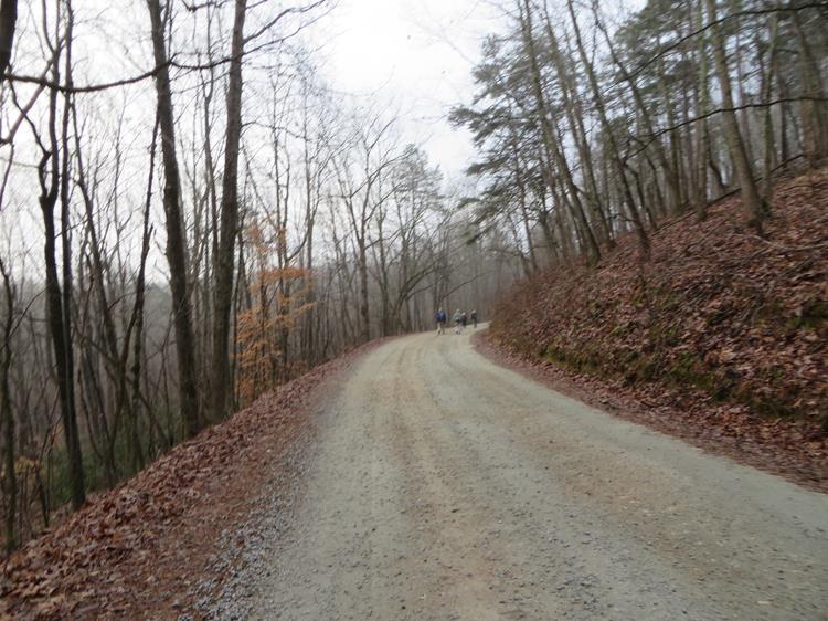 The Col. Robert Sink Trail is the gravel road that leads to the summit of Currahee Mountain.