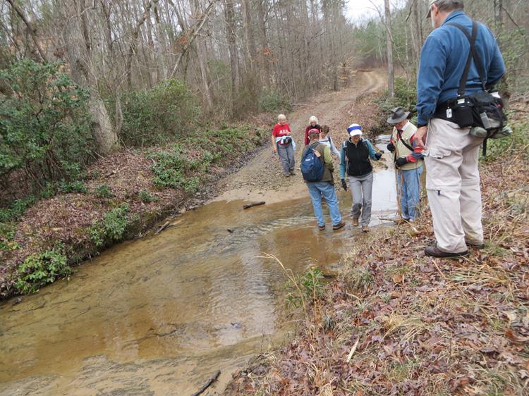 Creek crossing