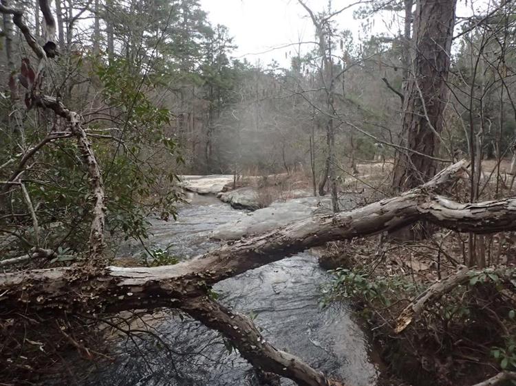 The area just above the Mary Steele Waterfalls.