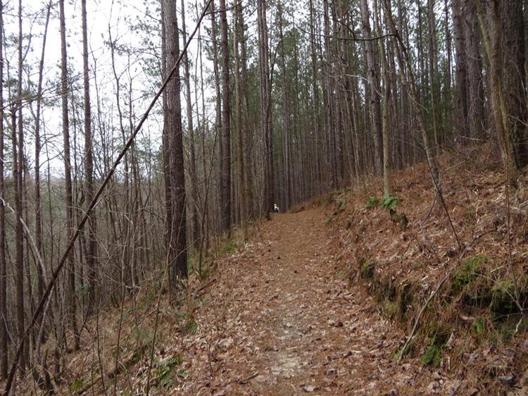 The beauty of wintertime trails.