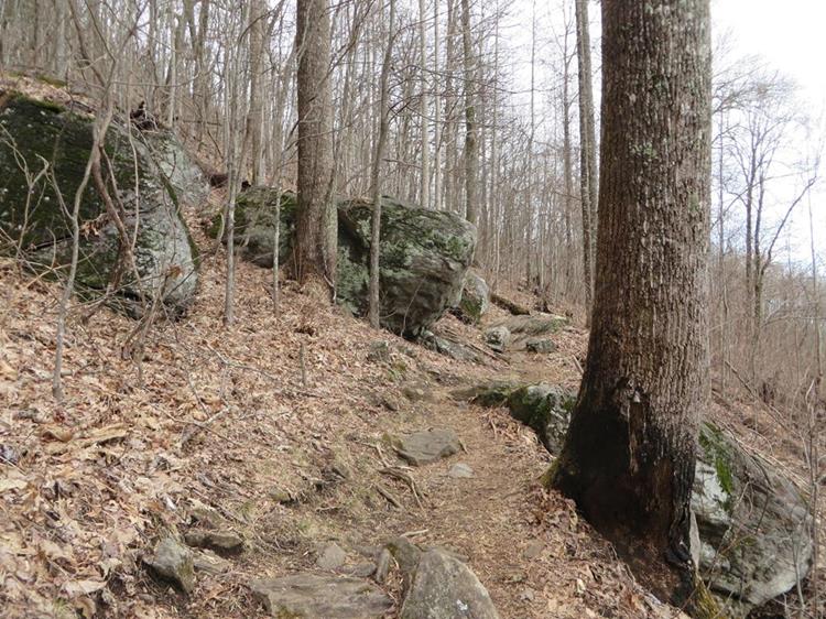 The GA portion of the A.T. is very hilly and rocky.