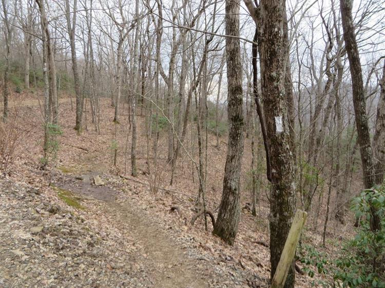 The final mile is a steady climb up Tray Mt.