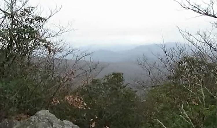 The foggy view from Tray Mt.!