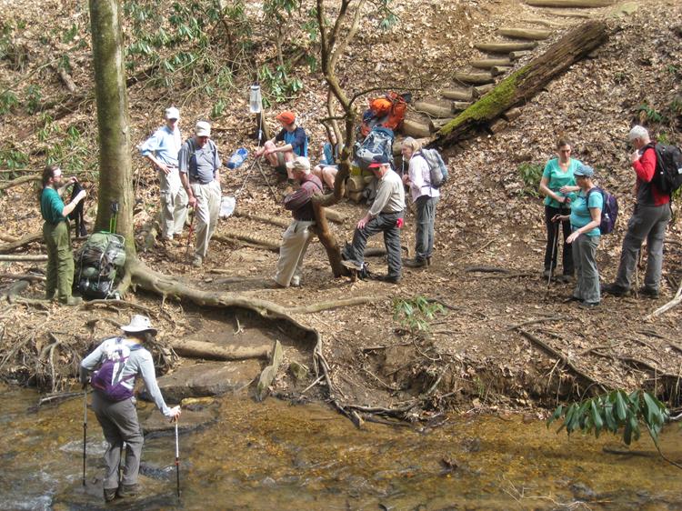 Another creek crossing.