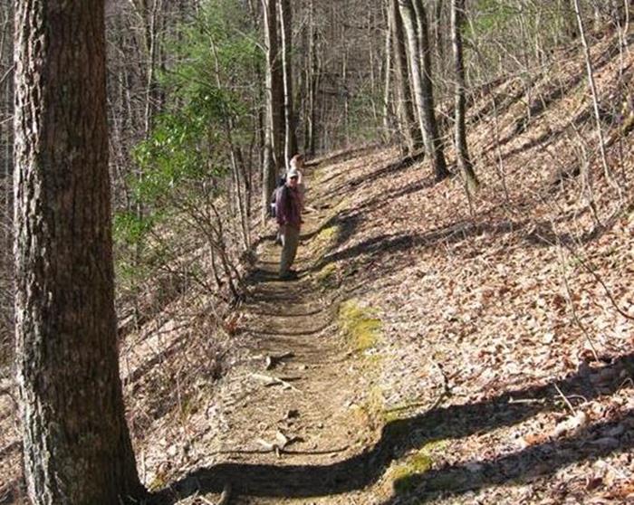 The beautiful Appalachian Trail.
