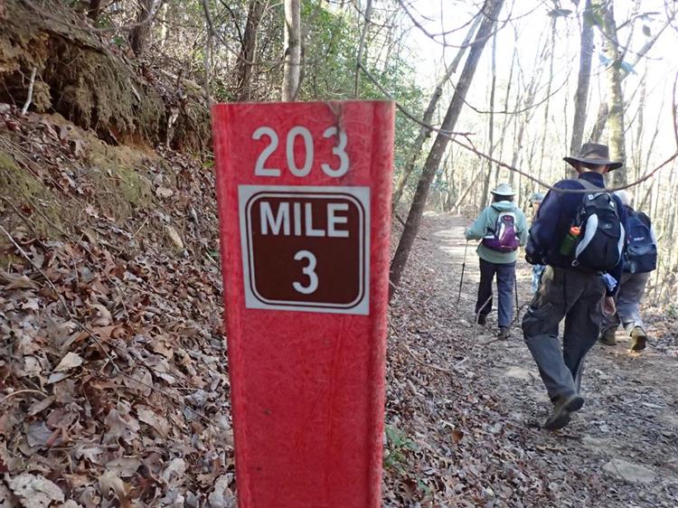 The trail is very well marked!