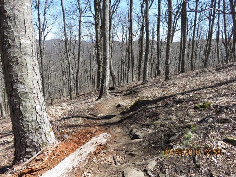 The rocky and rolling Appalachian Trail!