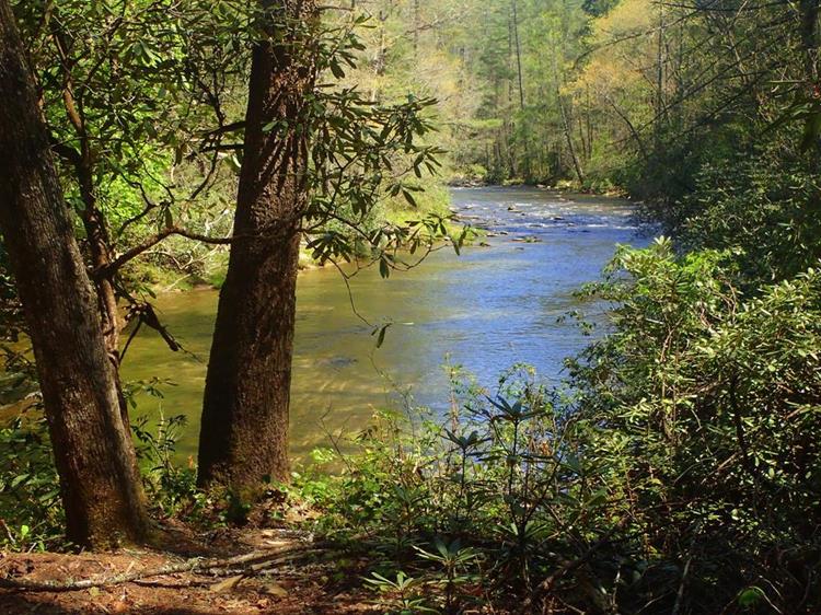 Great views along the Chattooga River.