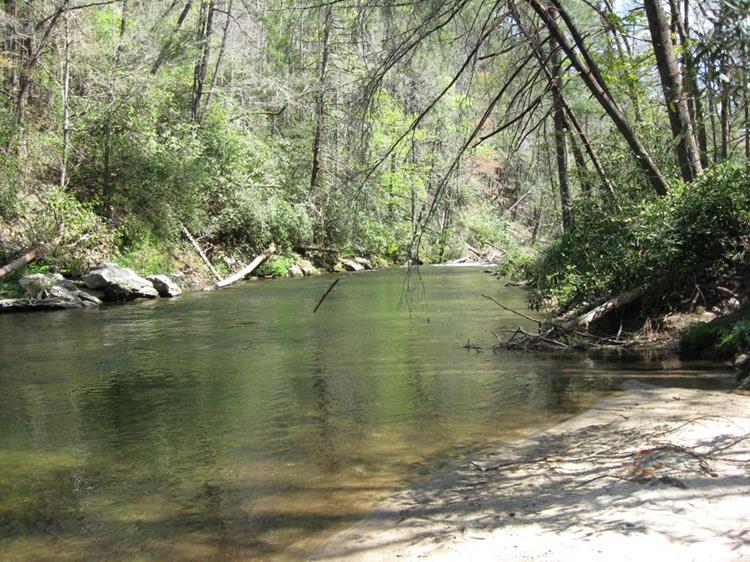 The beautiful Chattooga River!