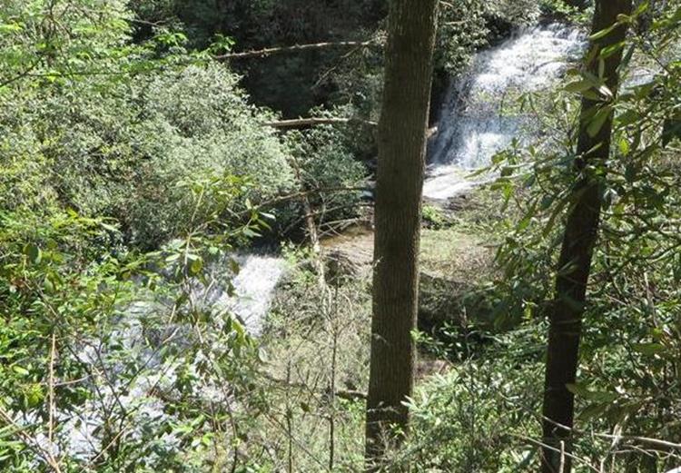 Licklog Falls