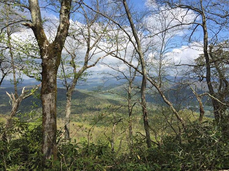 Great mountain views along the upper part of the trail!