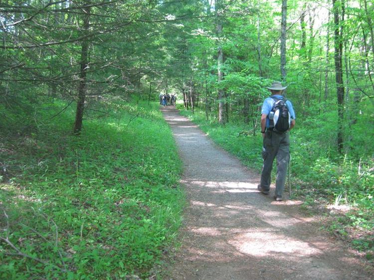 Another great day for a hike!