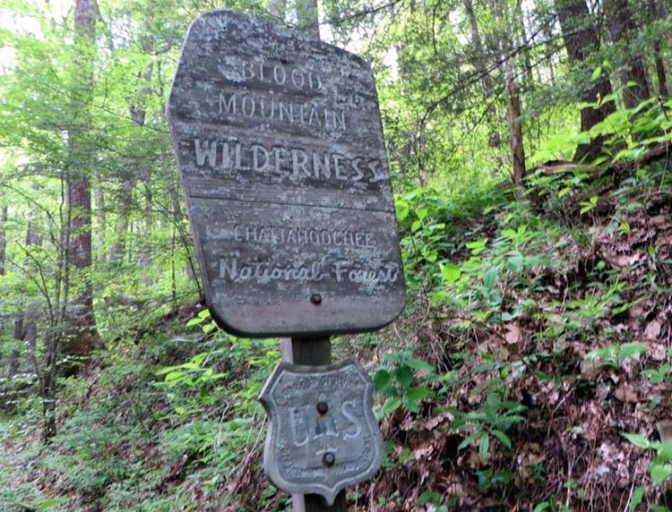 Entering the Blood Mountain Wilderness Area