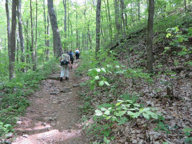 The Slaughter Creek Trail is mostly uphill to the junction with the Appalachian Trail.