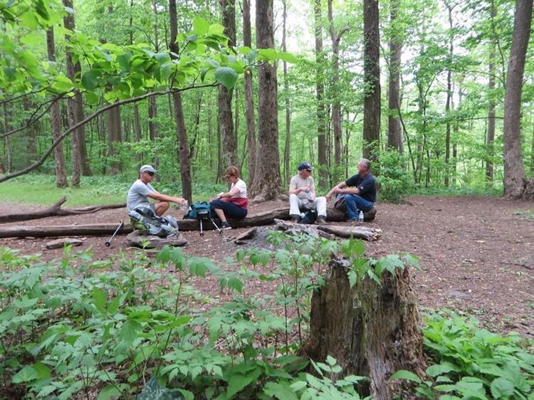Lunchtime at Jarrard Gap.