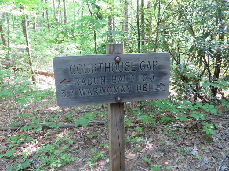 After about .8 miles, we arrive at Courthouse Gap on the Bartram Trail.