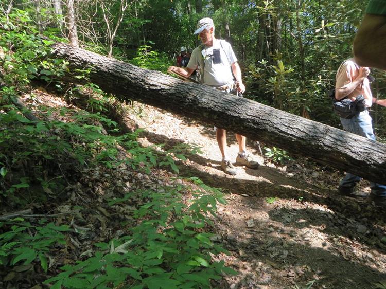 We encounter a few blowdowns but none were too difficult to get by.