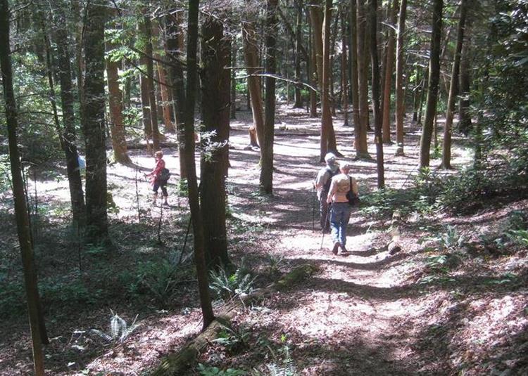 The large flat area near the falls.