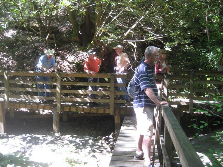 Nice viewing decks for the falls!