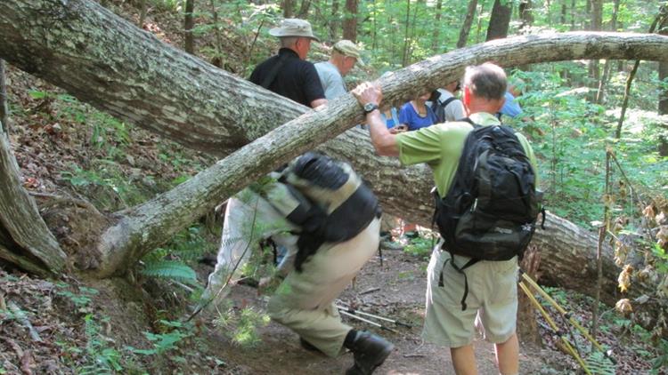 Early into the hike, we come to a significant blowdown.