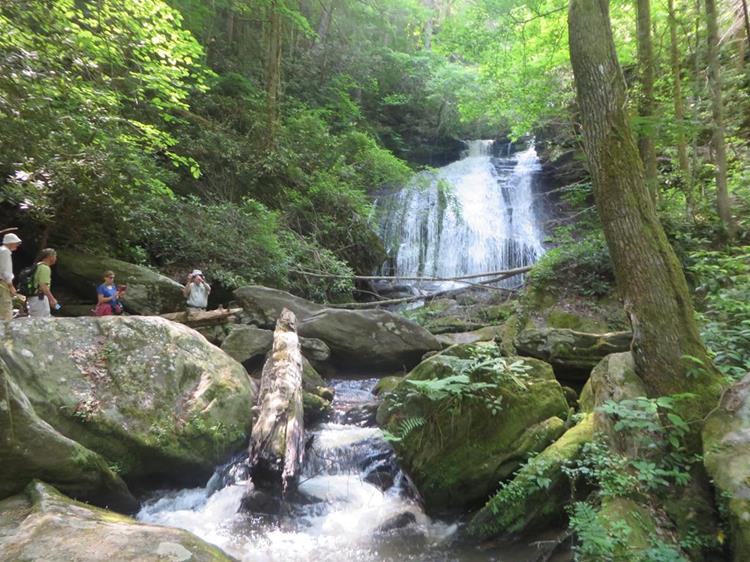 Absolutely beautiful "Opossum Creek Falls"