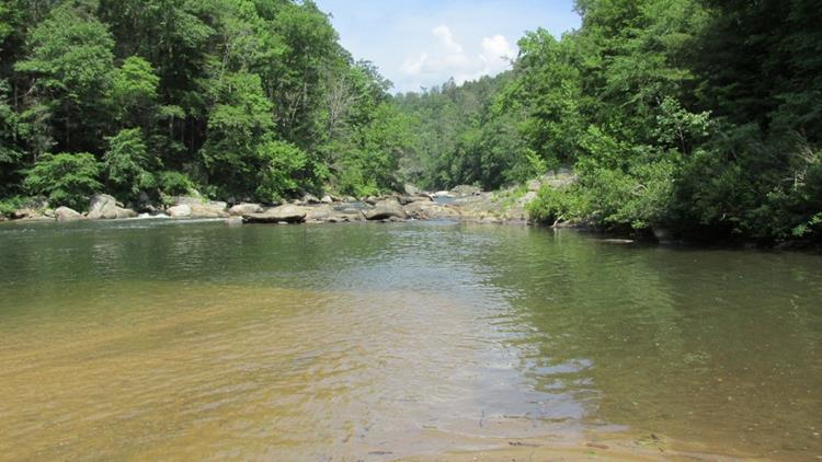 Back down to our lunch spot on the Chattooga River!