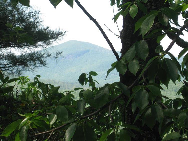 As we climb Scaly, we look across to see Rabun Bald.