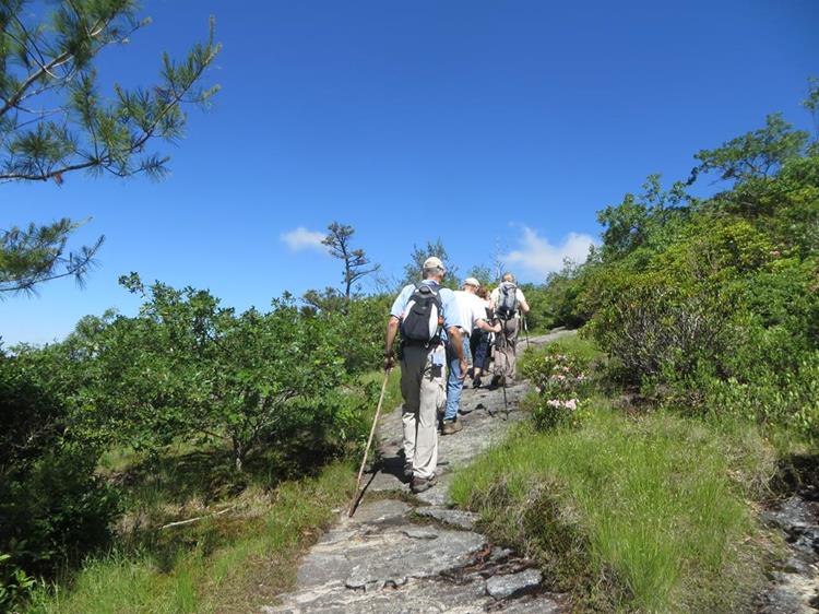 As we get closer to the summit, the trail turns to solid rock.