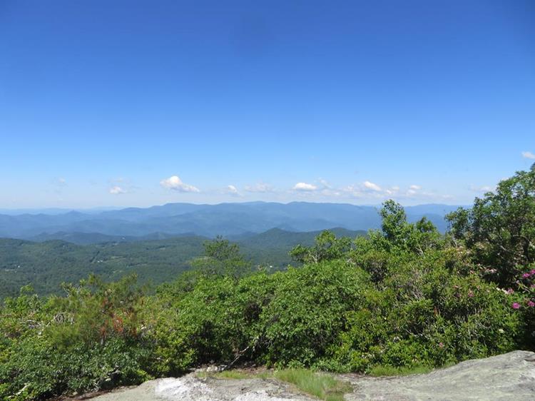 Now at the summit of Scaly we look into the NC mountains.