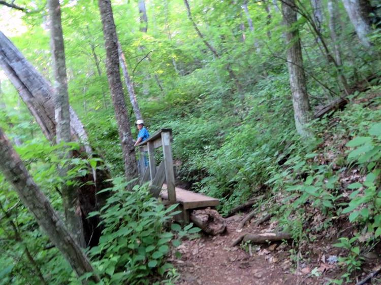 Footbridge early into the hike.