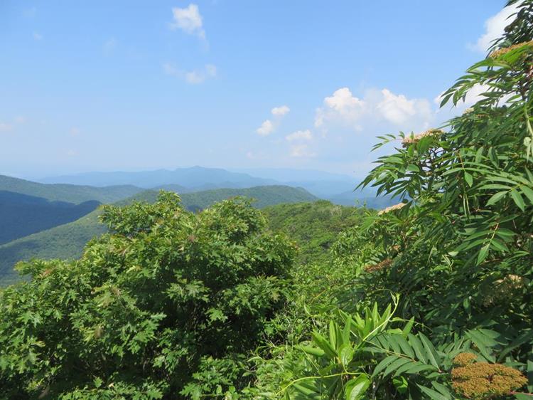 Beautiful views from the summit of Standing Indian Mountain.