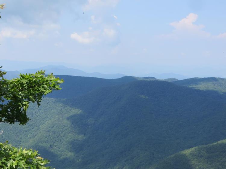 View 2