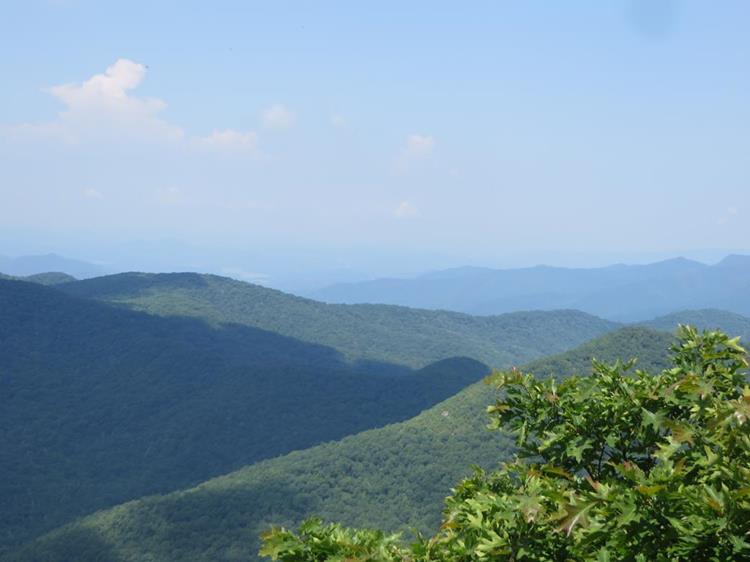 View 3