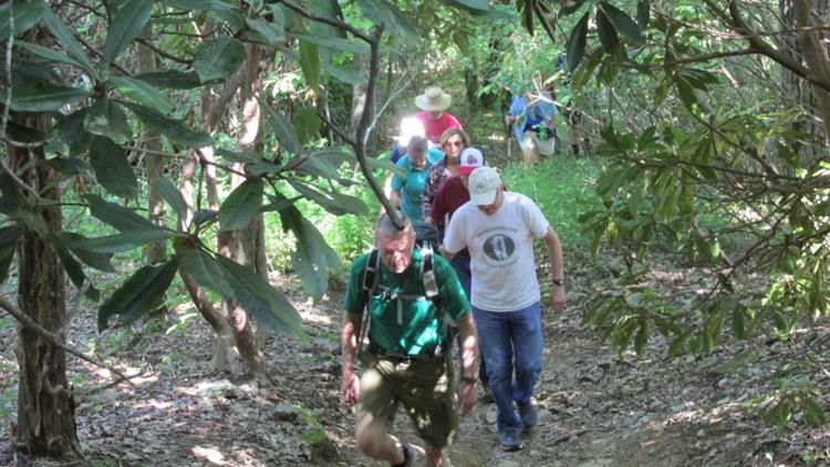 The trail is uphill through lots of Rhododendrons.