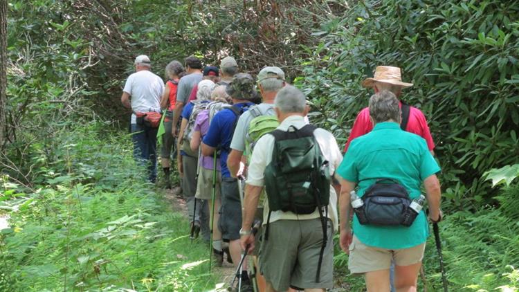 Next, we move up the road a few miles to the access trail to the A.T. and on to Albert Mt.